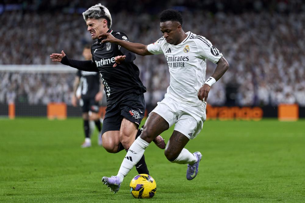 展示了他们 展示了他们